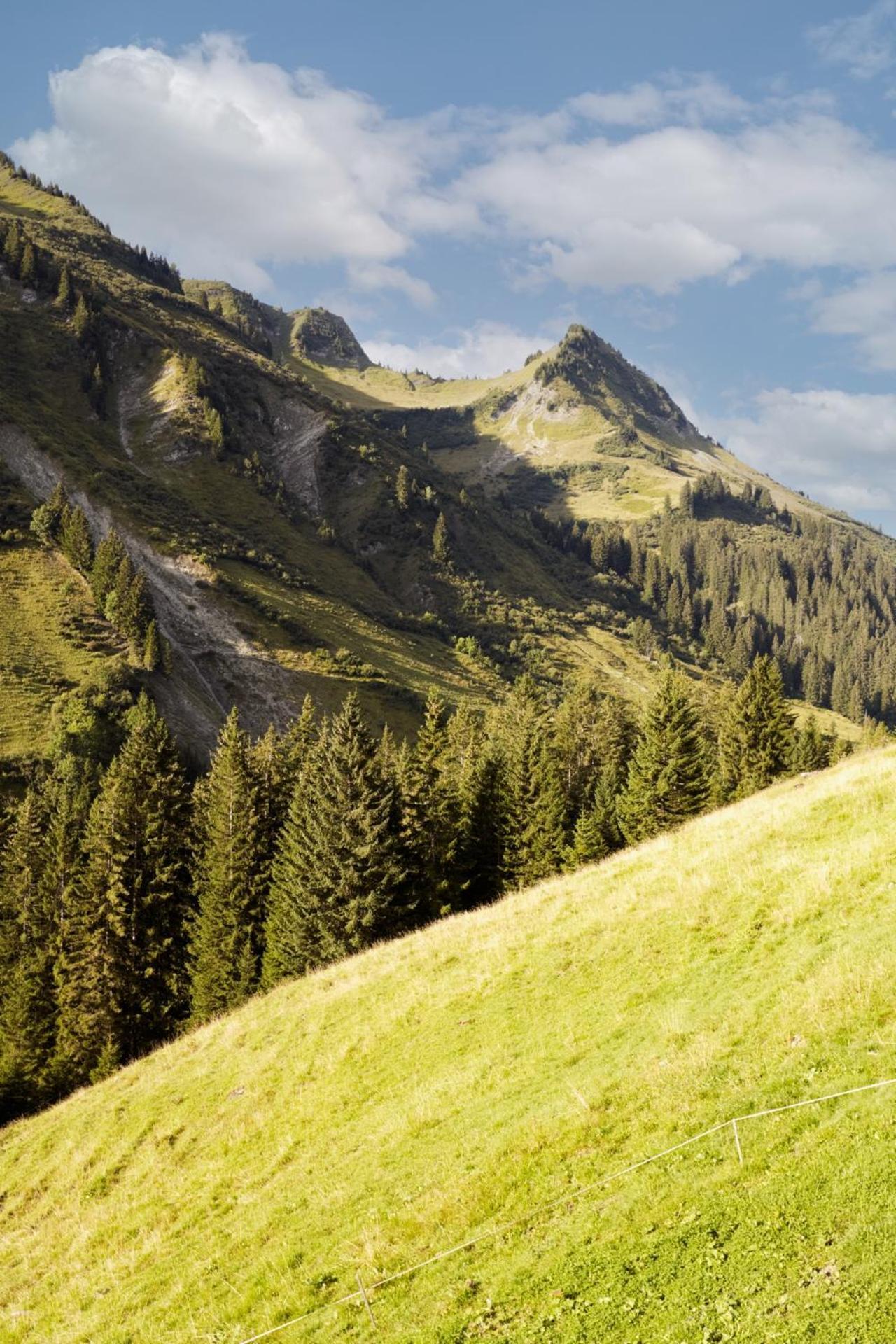 Alpenstolz Damuels Haus 4 - Stilvoll Urlauben In Den Bergenアパートメント エクステリア 写真